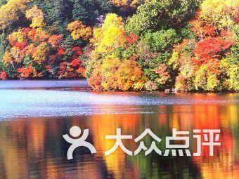 逗小猴开心系列182